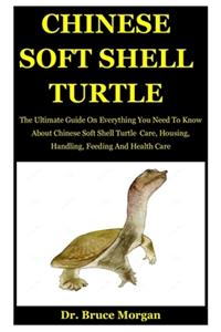Chinese Soft Shell Turtle