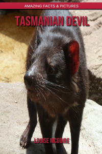 Tasmanian Devil: Amazing Facts & Pictures