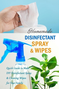 Homemade Disinfectant Spray & Wipes