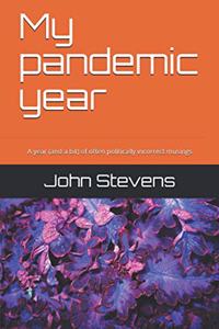 My pandemic year