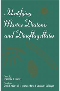 Identifying Marine Diatoms and Dinoflagellates