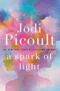 A Spark of Light: A Novel