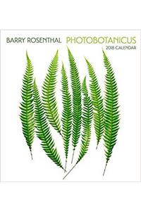 Rosenthal/Photobotanicus 2018 Wall Calendar