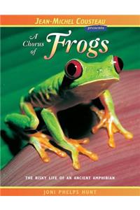 Chorus of Frogs