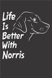 Life Is Better With Norris