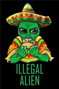 Illegal Alien