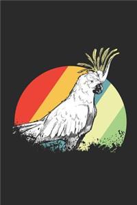 Parrot Bird