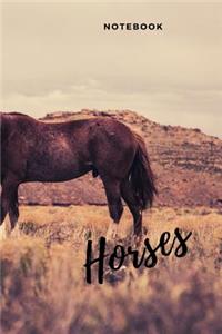 Horses notebook