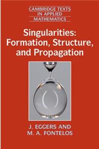 Singularities: Formation, Structure, and Propagation