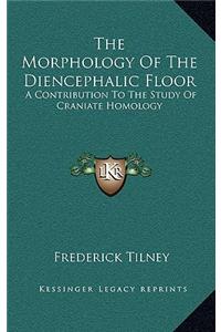 The Morphology Of The Diencephalic Floor