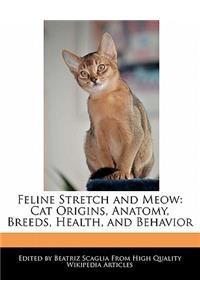 Feline Stretch and Meow