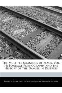 The Multiple Meanings of Black, Vol. 14