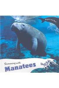 Swimming with Manatees