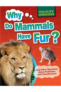 Why Do Mammals Have Fur?