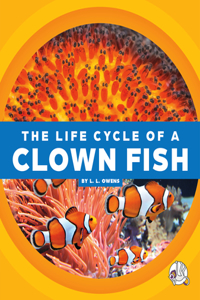 Life Cycle of a Clown Fish