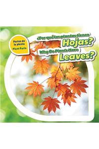 ¿Por Qué Las Plantas Tienen Hojas? / Why Do Plants Have Leaves?