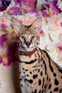 Serval Spring Notebook & Journal. Productivity Work Planner & Idea Notepad