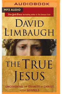 True Jesus: Uncovering the Divinity of Christ in the Gospels