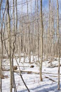 Birch Trees in the Snow Winter Journal