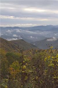 View of the Mountains from the Blue Ridge Parkway Journal