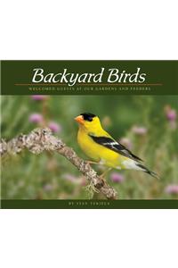 Backyard Birds