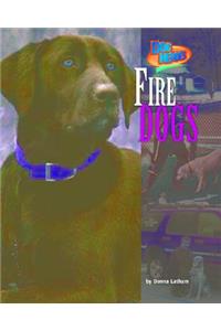 Fire Dogs
