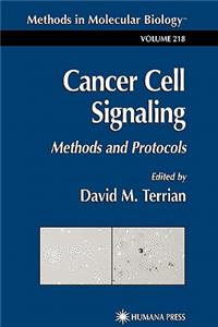 Cancer Cell Signaling