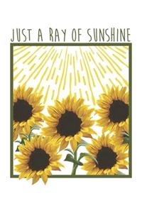 Just A Ray of The Sunshine Summer