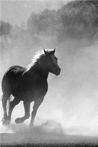 Majestic Galloping Horses 2020 Weekly Monthly Planner