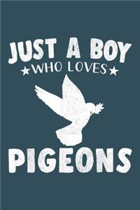 Just a boy who loves pigeons