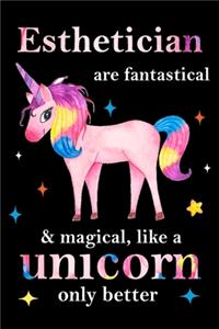 Esthetician are fantastical & magical, like a unicorn only better, employee appreciation notebook