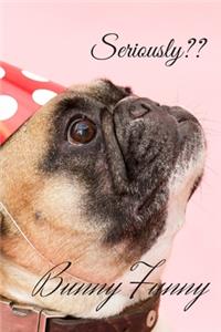Funny Dog