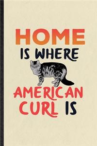 Home Is Where American Curl Is