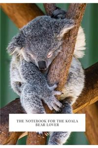 For the Koala Bear Lover
