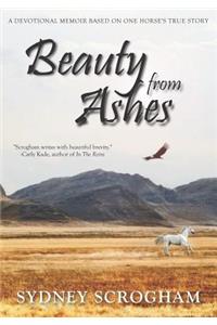 Beauty From Ashes: A Devotional Memoir Based on One Horse's True Story