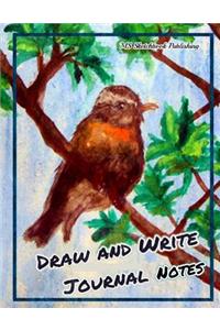 Draw and Write Journal Notes