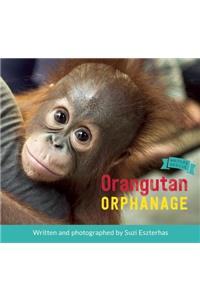 Orangutan Orphanage