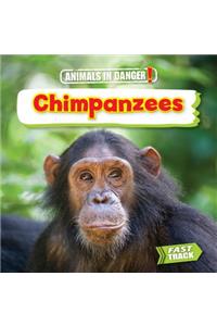 Chimpanzees
