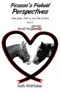 Picasso’s Piebald Perspectives