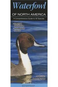 Waterfowl of North America