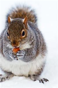 Cute Furry Creature