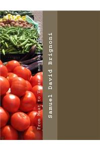 From Meat to Vegan 1 month Recipe Diary