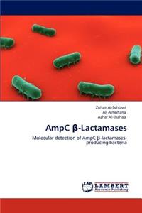 AmpC β-Lactamases