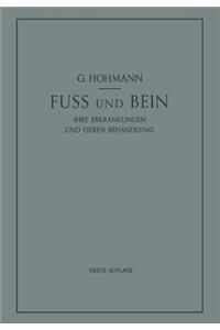 Fuß Und Bein