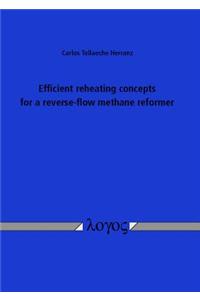 Efficient Reheating Concepts for a Reverse-Flow Methane Reformer