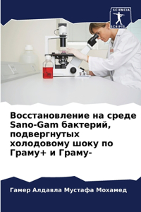 Восстановление на среде Sano-Gam бактерий, подв