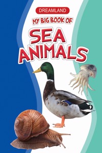 My Big Book Of Sea Animals