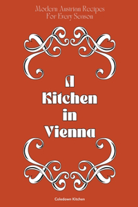 Kitchen in Vienna
