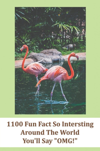 1100 Fun Fact So Intersting Around The World