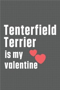 Tenterfield Terrier is my valentine